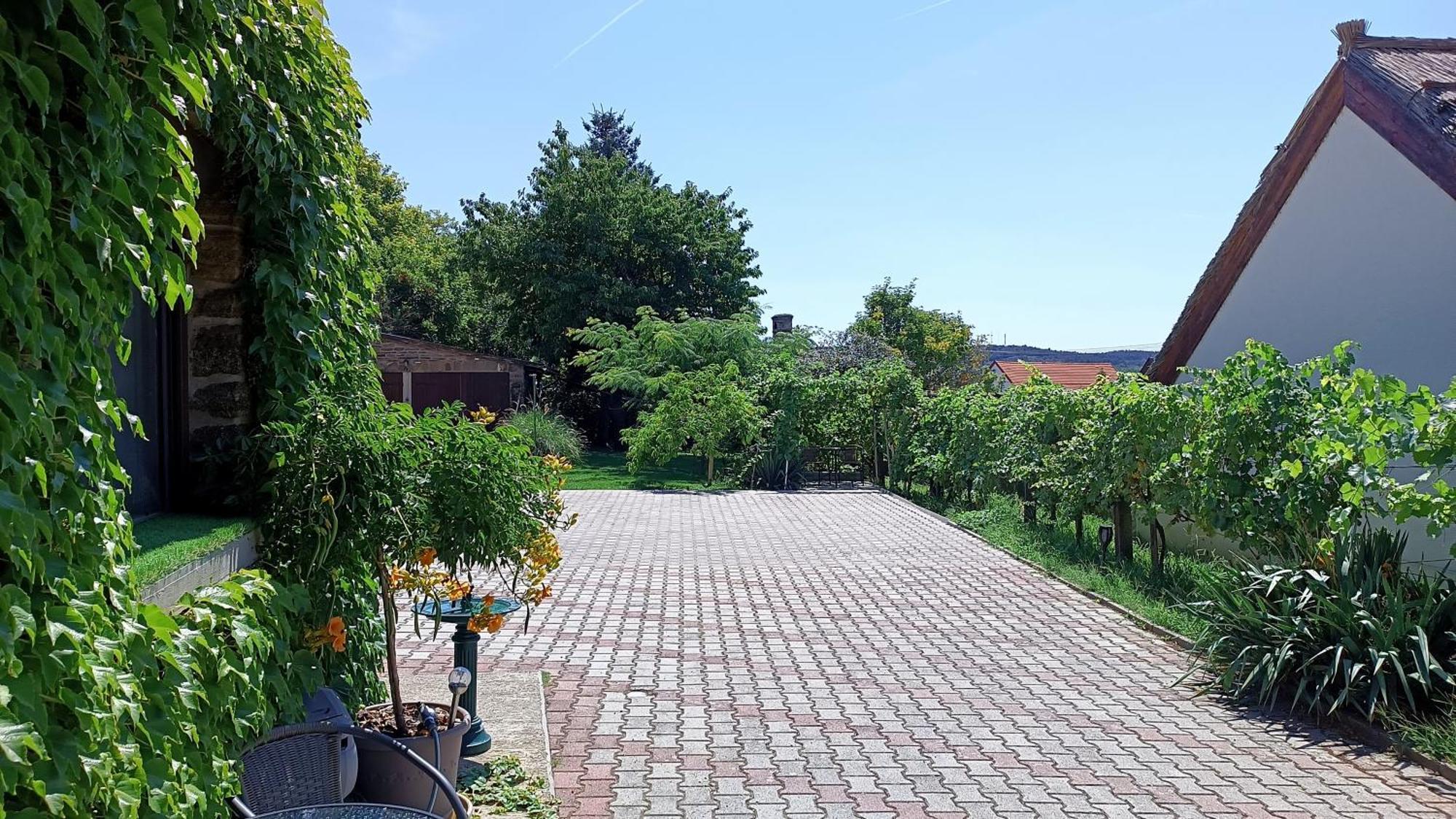 T.H.Ny Village Inn Cottage Tihany Zewnętrze zdjęcie